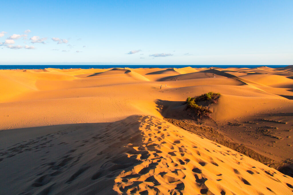Dunas